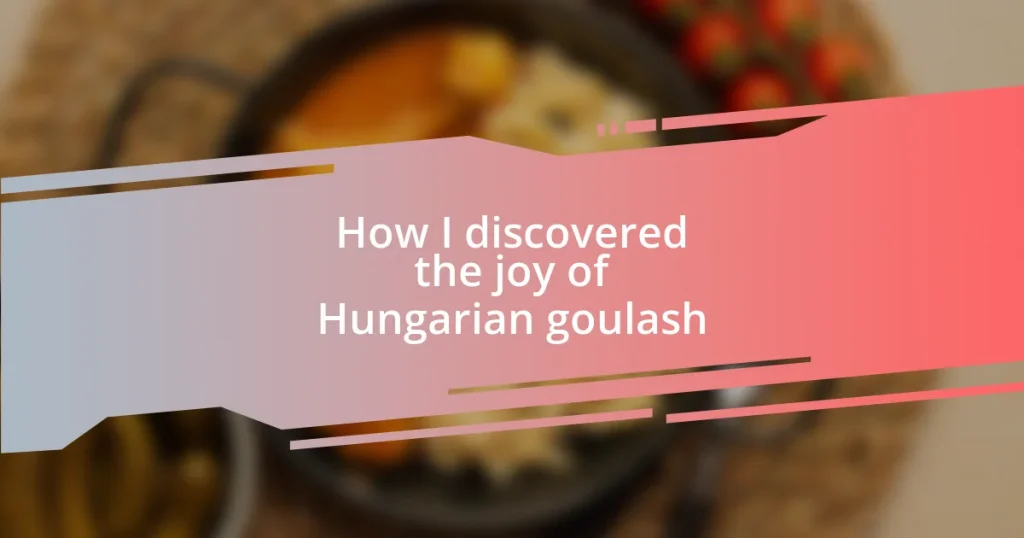 How I discovered the joy of Hungarian goulash